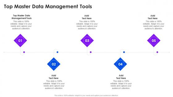 Top Master Data Management Tools In Powerpoint And Google Slides Cpb