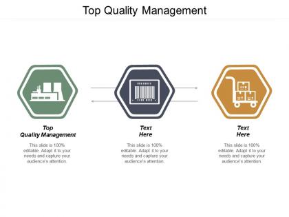 Top quality management ppt powerpoint presentation ideas infographic template cpb