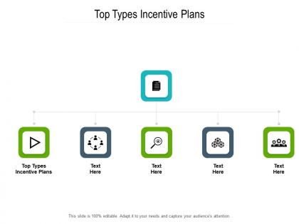 Top types incentive plans ppt powerpoint presentation visual aids slides cpb