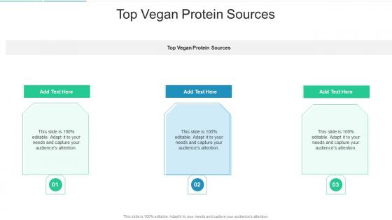 Top Vegan Protein Sources In Powerpoint And Google Slides Cpb