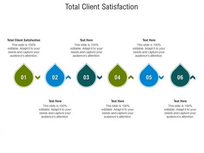 Total client satisfaction ppt powerpoint presentation gallery portfolio cpb