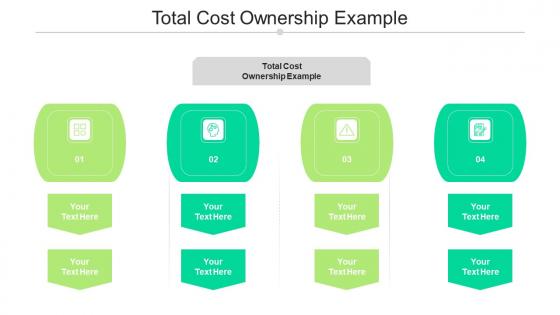 Total Cost Ownership Example Ppt Powerpoint Presentation Icon Slides Cpb