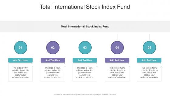 Total International Stock Index Fund In Powerpoint And Google Slides Cpb