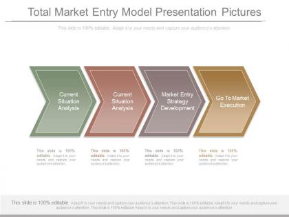 Total market entry model presentation pictures