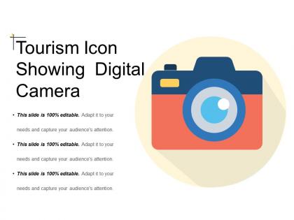 Tourism icon showing digital camera