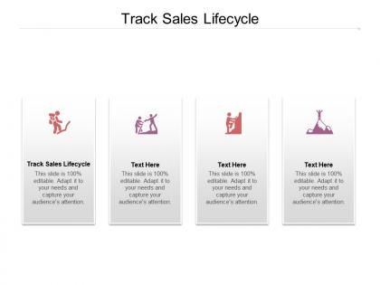Track sales lifecycle ppt powerpoint presentation file infographics cpb