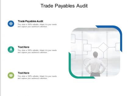 Trade payables audit ppt powerpoint presentation model slide portrait cpb