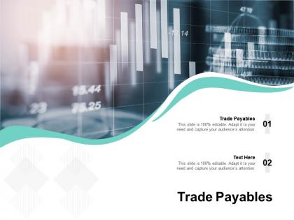 Trade payables ppt powerpoint presentation outline background cpb