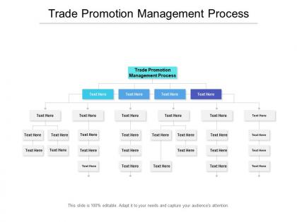 Trade promotion management process ppt powerpoint presentation pictures example cpb