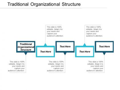Traditional organizational structure ppt powerpoint presentation infographic template microsoft cpb