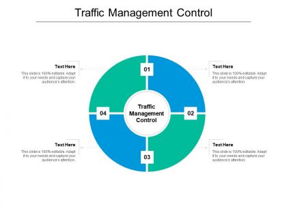 Traffic management control ppt powerpoint presentation guide cpb