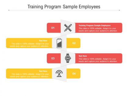 Training program sample employees ppt powerpoint presentation styles example introduction cpb