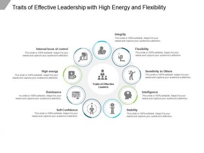Traits of effective leadership with high energy and flexibility
