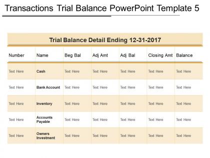 Transactions trial balance powerpoint template 5