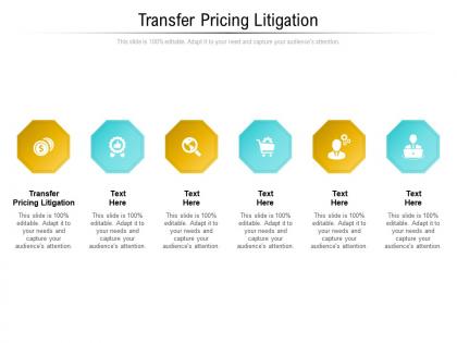 Transfer pricing litigation ppt powerpoint presentation ideas example cpb
