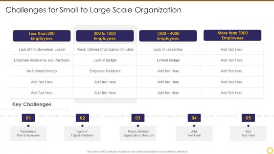 Transforming Digital Capability Challenges For Small To Large Scale Organization
