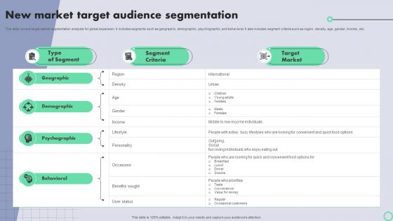 Transnational Strategy For International New Market Target Audience Segmentation Strategy SS V