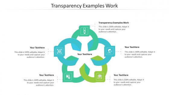 Transparency examples work ppt powerpoint presentation icon example cpb