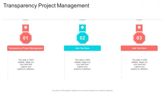 Transparency Project Management In Powerpoint And Google Slides Cpb