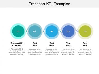 Transport kpi examples ppt powerpoint presentation pictures cpb