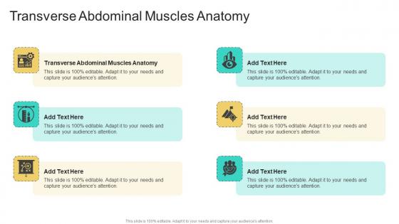 Transverse Abdominal Muscles Anatomy In Powerpoint And Google Slides Cpb