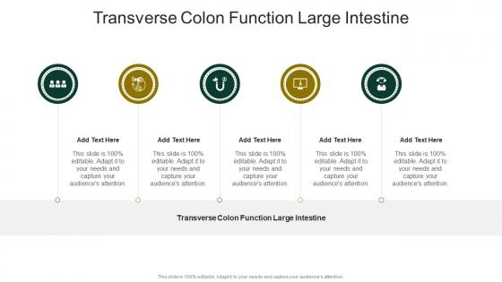 Transverse Colon Function Large Intestine In Powerpoint And Google Slides Cpb