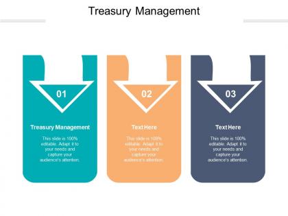 Treasury management ppt powerpoint presentation model demonstration cpb