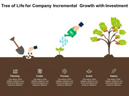 Tree of life for company incremental growth with investment
