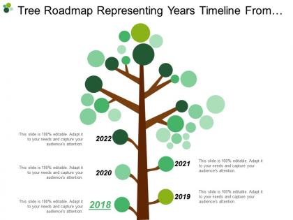 Tree roadmap representing years timeline from 2010 to 2022 using stems