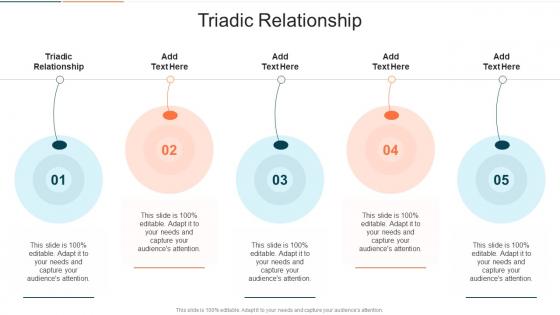 Triadic Relationship In Powerpoint And Google Slides Cpb