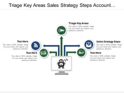 Triage key areas sales strategy steps account segmentation