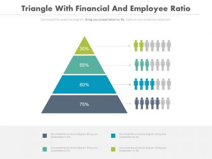 Triangle with financial and employee ratio analysis powerpoint slides