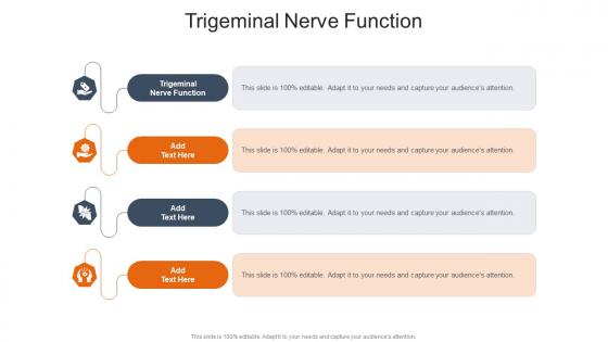 Trigeminal Nerve Function In Powerpoint And Google Slides Cpb