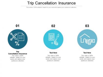 Trip cancellation insurance ppt powerpoint presentation file slide portrait cpb