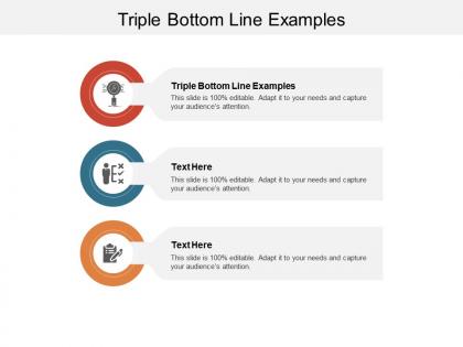 Triple bottom line examples ppt powerpoint presentation infographics influencers cpb