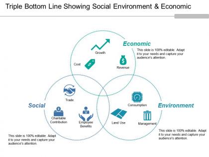 Triple bottom line showing social environment and economic