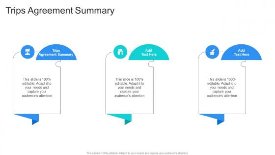 Trips Agreement Summary In Powerpoint And Google Slides Cpb