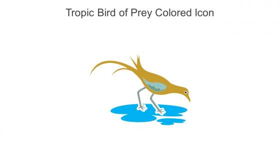 Tropic Bird Of Prey Colored Icon In Powerpoint Pptx Png And Editable Eps Format