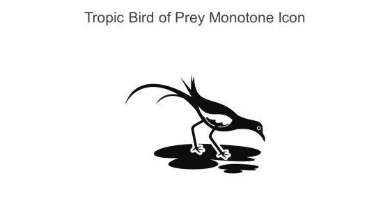 Tropic Bird Of Prey Monotone Icon In Powerpoint Pptx Png And Editable Eps Format