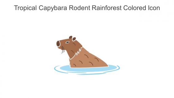 Tropical Capybara Rodent Rainforest Colored Icon In Powerpoint Pptx Png And Editable Eps Format