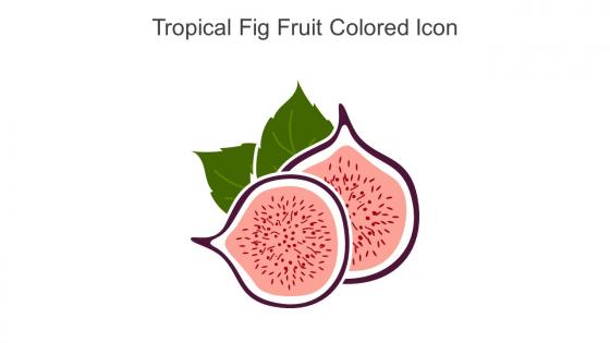 Tropical Fig Fruit Colored Icon In Powerpoint Pptx Png And Editable Eps Format
