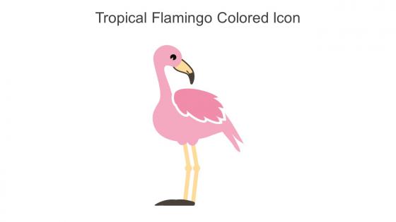 Tropical Flamingo Colored Icon In Powerpoint Pptx Png And Editable Eps Format