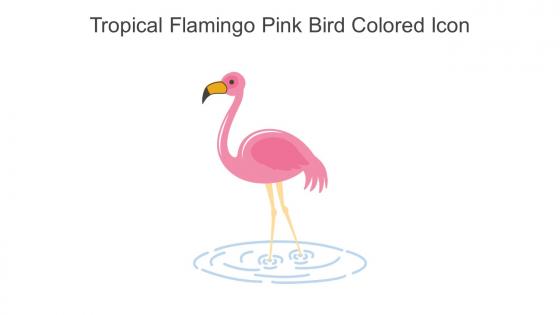 Tropical Flamingo Pink Bird Colored Icon In Powerpoint Pptx Png And Editable Eps Format