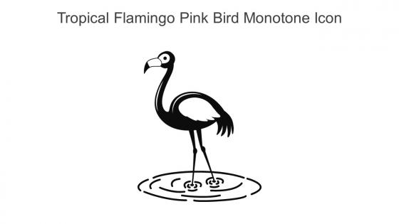 Tropical Flamingo Pink Bird Monotone Icon In Powerpoint Pptx Png And Editable Eps Format