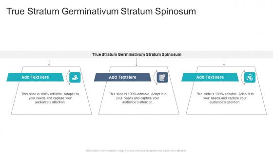 True Stratum Germinativum Stratum Spinosum In Powerpoint And Google Slides Cpb