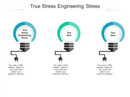 True stress engineering stress ppt powerpoint presentation infographics format ideas cpb