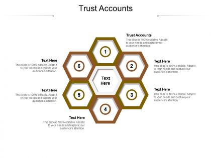 Trust accounts ppt powerpoint presentation portfolio file formats cpb
