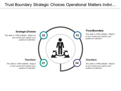 Trust boundary strategic choices operational matters individual experts