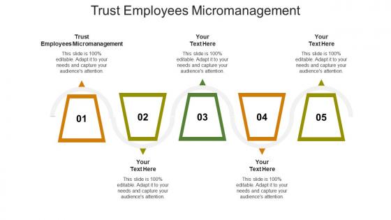 Trust employees micromanagement ppt powerpoint presentation infographic template display cpb