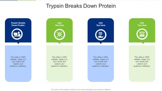 Trypsin Breaks Down Protein In Powerpoint And Google Slides Cpb